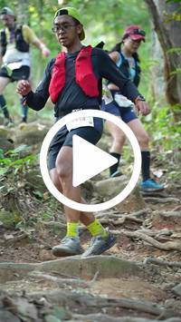 BIB:  <button type="button" onclick="openModal(27642178)" class="btn btn-primary btn-sm float-right" data-toggle="modal" data-target=".modal-high-quality">
                <i class="fa fa-download"></i> Download
                </button>